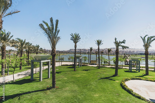 Date palms grow on manicured lawn in the park against the blue sky, the river and the city. Beautiful landscape design