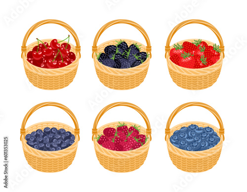 Set of baskets with different berries. Vector cartoon illustration of raspberry, strawberry, blueberry, cherry, bilberry and blackberry.