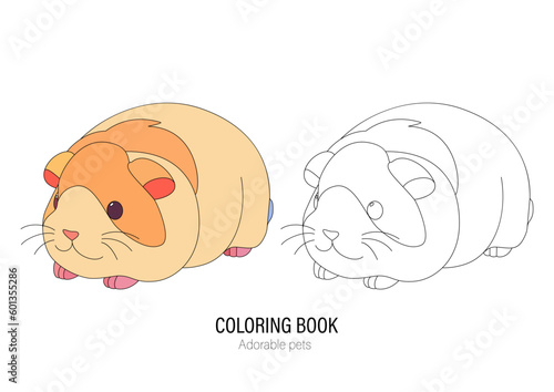 Cute little guinea pig with a kind smiling face and big eyes.