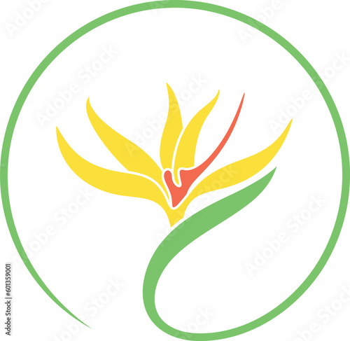 Bird of Paradise logo. Isolated bird of paradise on white background