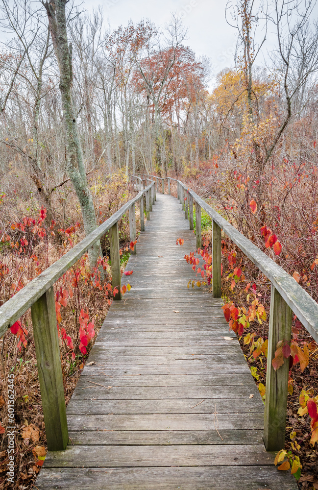 Fototapeta premium The Boardwalk at Piscataway Park
