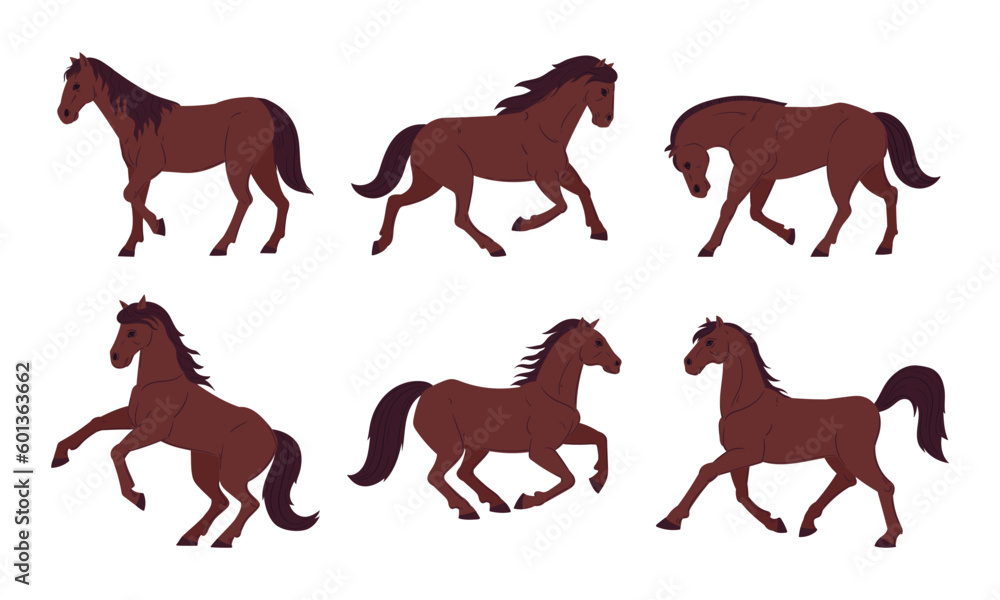 Cartoon brown horses. Graceful running, galloping and standing animals. Thoroughbred farm or ranch horses flat vector illustration collection