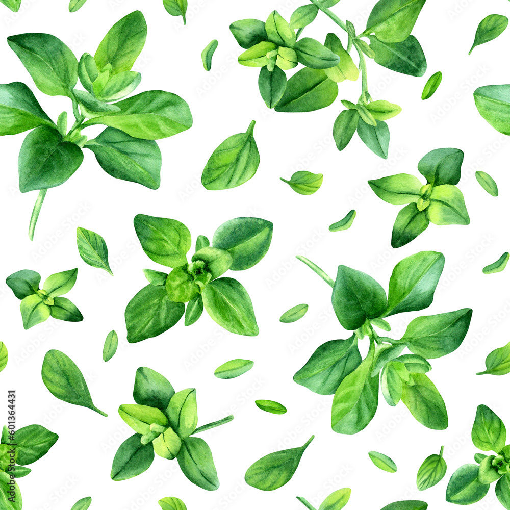 Watercolor seamless pattern with thyme herb. Botanical illustration isolated on white for wrapping wallpaper textile Watercolor seamless pattern with thyme herb. Botanical illustration isolated on white for wrapping wallpaper textile