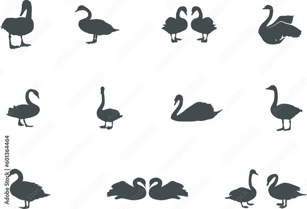 Swan silhouettes, Swan SVG, Swan vector set, Swan icon, Swan silhouette. Swan silhouettes, Swan SVG, Swan vector set, Swan icon, Swan silhouette.