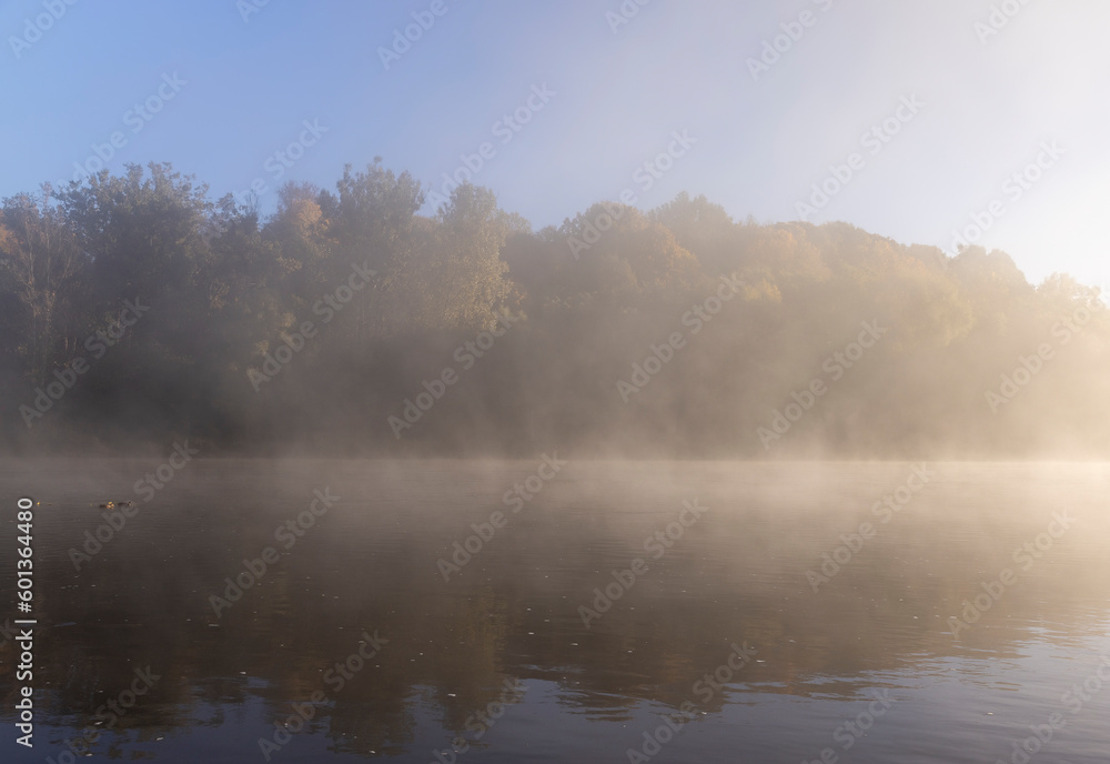 Trees and fog in the morning in autumn Trees and fog in the morning in autumn