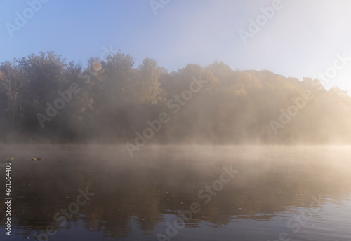 Fototapeta Naklejka Na Ścianę i Meble -  Trees and fog in the morning in autumn