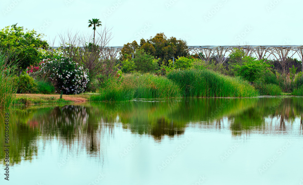 Ariel Sharon Park nature background