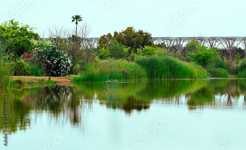 Obraz na płótnie Ariel Sharon Park nature background w salonie