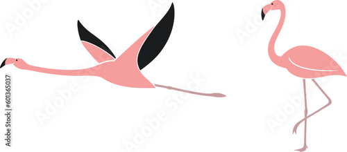 Flamingo logo. Isolated flamingo on white background