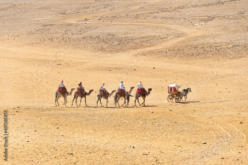 Camel caravan going through the sand dunes in Desert