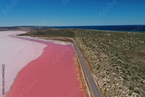 An aerial view of the pink lake