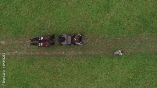  An old horse-drawn carriage rides along a village road to meet a young woman in an old dress. 