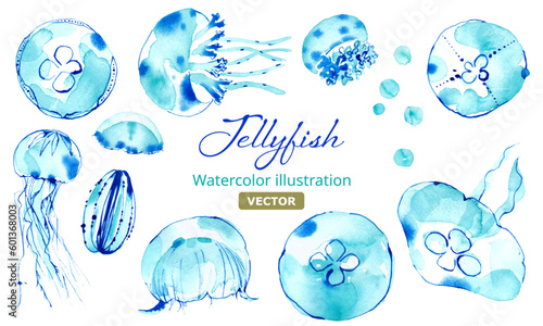 涼しげなクラゲの水彩イラスト。ベクター。