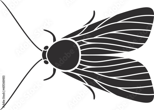 Moth logo. Isolated moth on white background