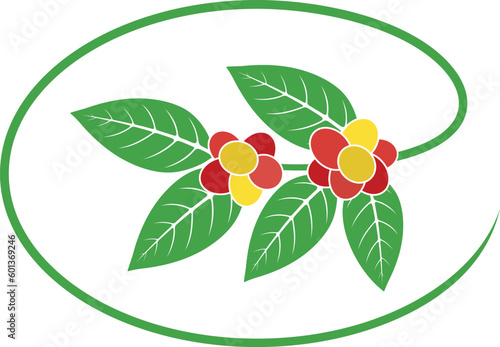 Coffee branch logo. Isolated coffe branch on white background