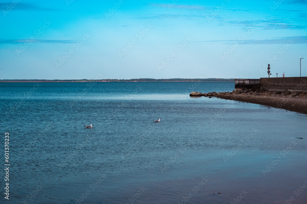 North Sea coast, Denmark. Beautiful seascape of sea pier. Сoast of the North Sea. Sea pier.