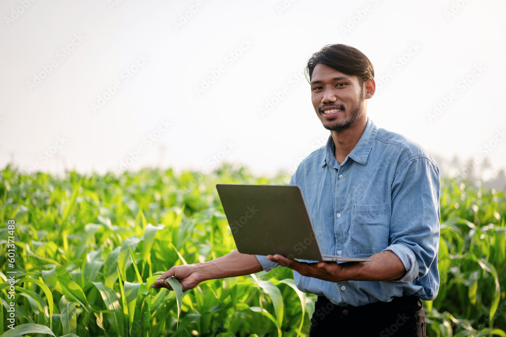Smart farmer using laptop to examining quantity and quality crop Smart farmer using laptop to examining quantity and quality crop