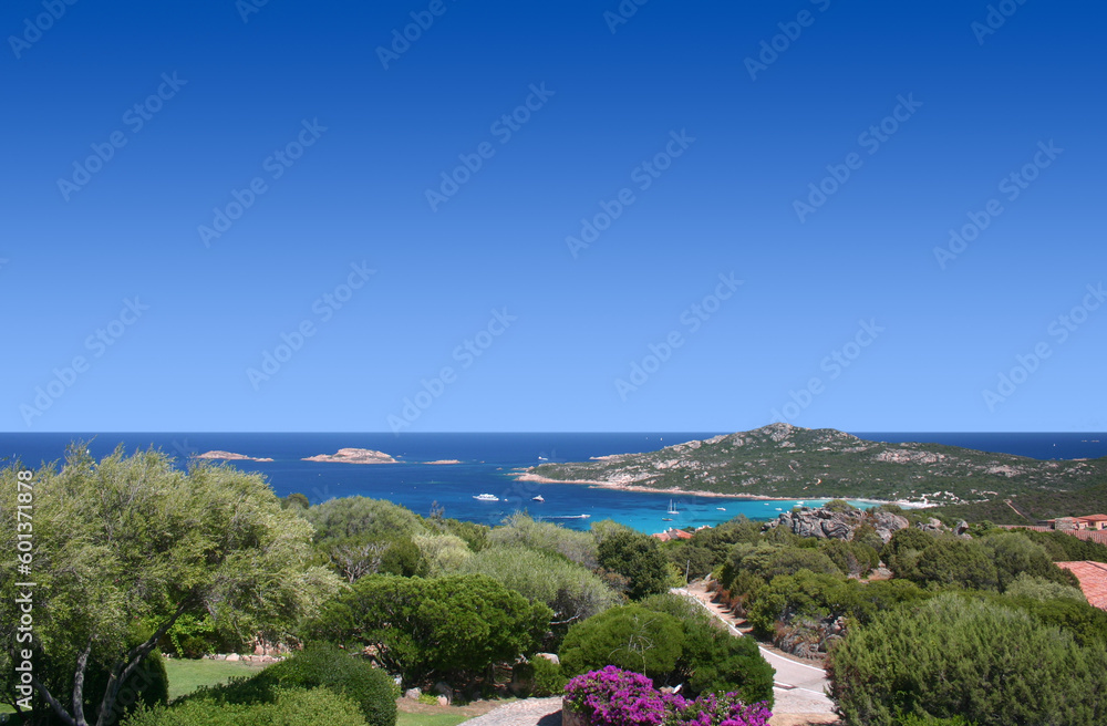 A breathtaking view of Porto Cervo with its lush green trees, blooming bougainvilleas, and winding streets that lead to elegant villas. The scene also features a clear blue sea dotted with yachts.