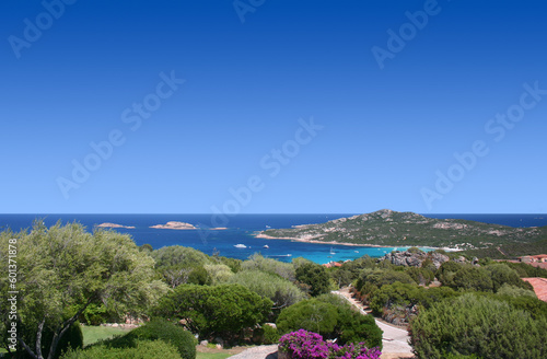 A breathtaking view of Porto Cervo with its lush green trees, blooming bougainvilleas, and winding streets that lead to elegant villas. The scene also features a clear blue sea dotted with yachts.
