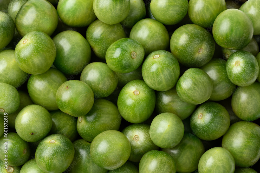 Small green unripe cherry tiger tomatoes full frame close up as background Small green unripe cherry tiger tomatoes full frame close up as background
