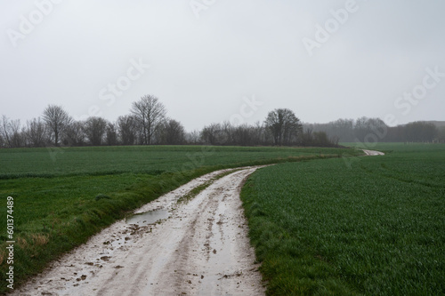 Bending road through the agriculture fields, Herent, Flemish Brabant, Belgium photo