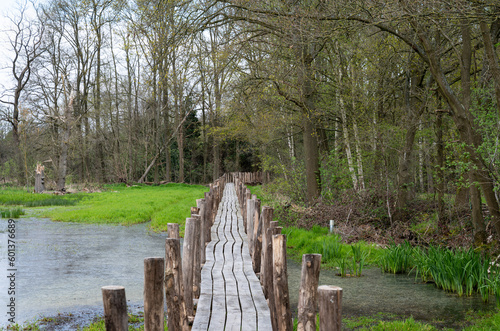 Wooden walking path through a wetland nature reserve,  Laakdal, Belgium