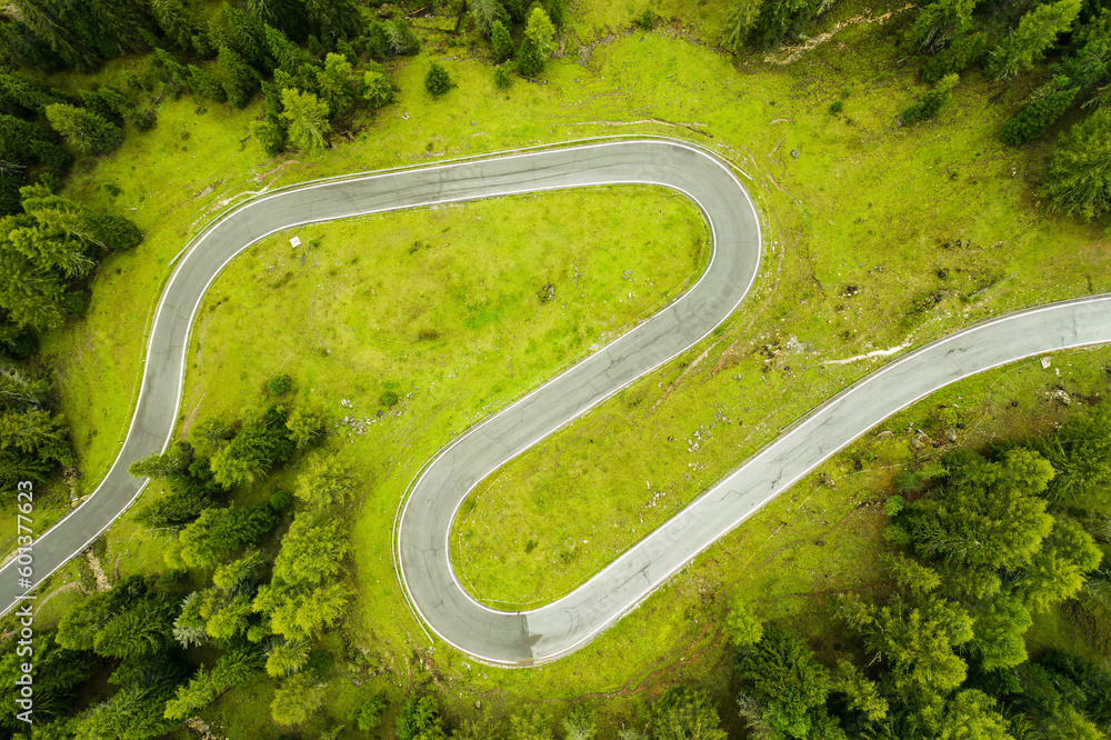 In the Alpine mountains, the scenic and meandering Snake Road driveway offers a picturesque drive, top view