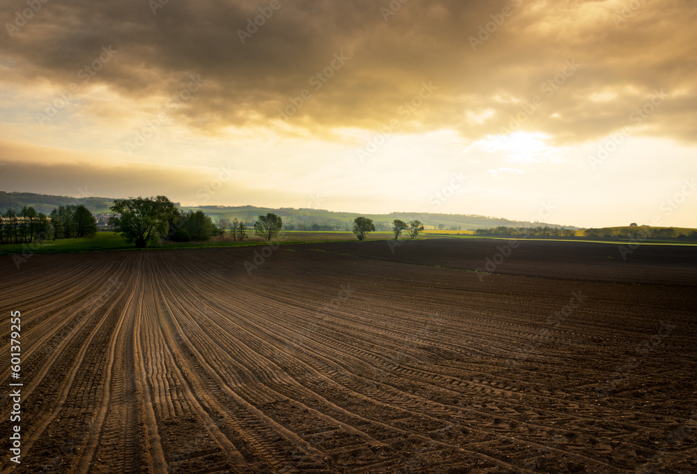 Plowed and sown field with dramatic sky