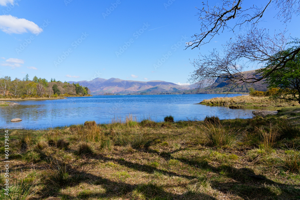Leafless trees cast shadows on the banks of Derwent Water