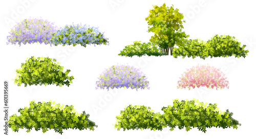 Vector of flower grass or blooming shrub isolated on white background,tree elevation for landscape concept,environment panorama scene,eco design,meadow for spring