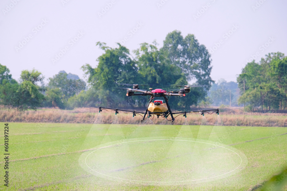 agricultural drone Spraying fertilizers or agricultural chemicals in the fields.