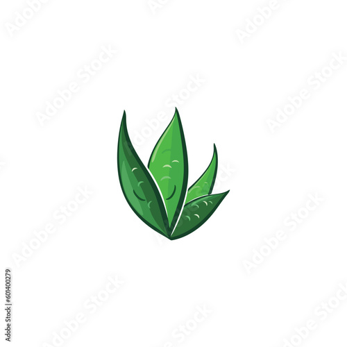 Aloe vera logo vector ilustration