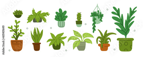 Plants in pots concept illustration set. Various indoor green houseplants in decorative flowerpots. Hand drawn trendy vector illustration.
