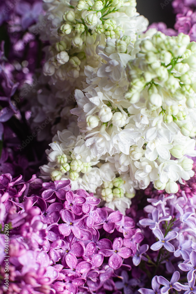 Beautiful bouquet of lilacs of different varieties close-up Beautiful bouquet of lilacs of different varieties close-up