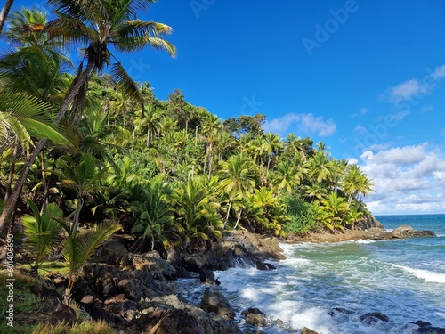 rocky coast with palm trees and sea near Itacaré, Bahia, Brazil