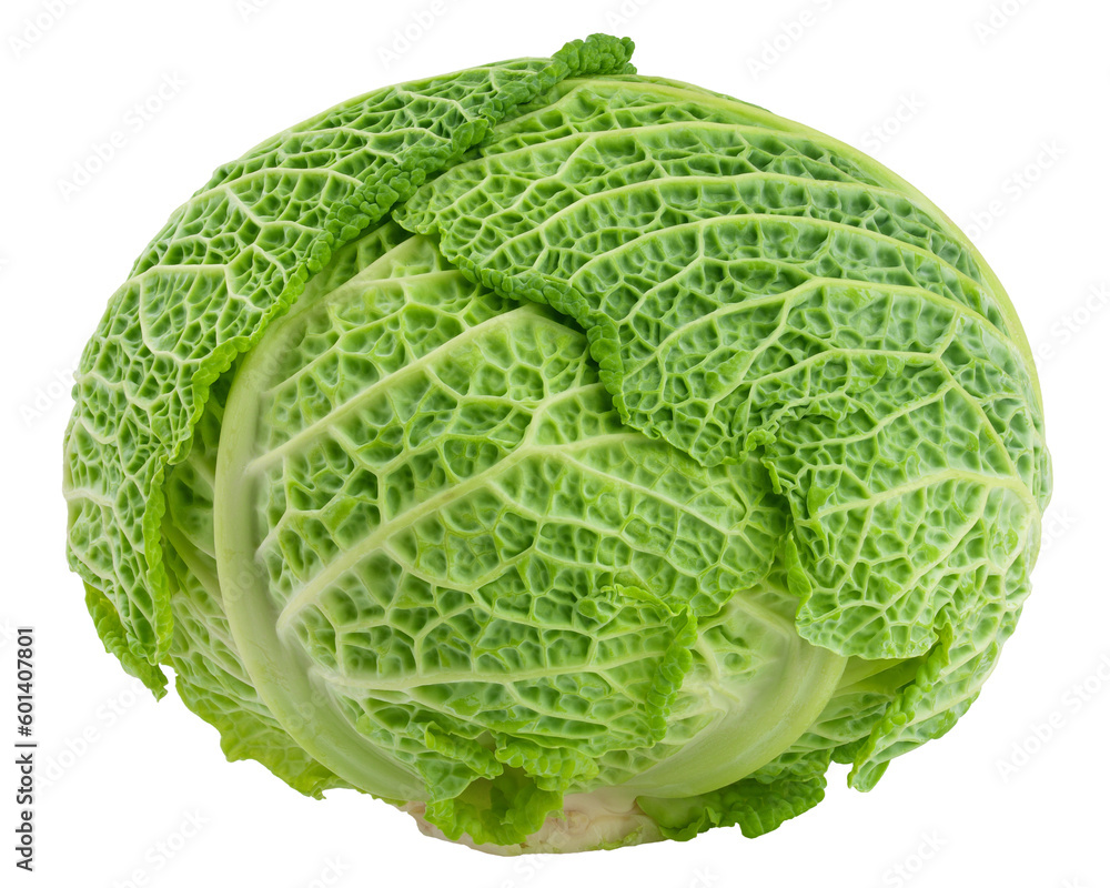 Fototapeta premium savoy Cabbage isolated on white background, full depth of field