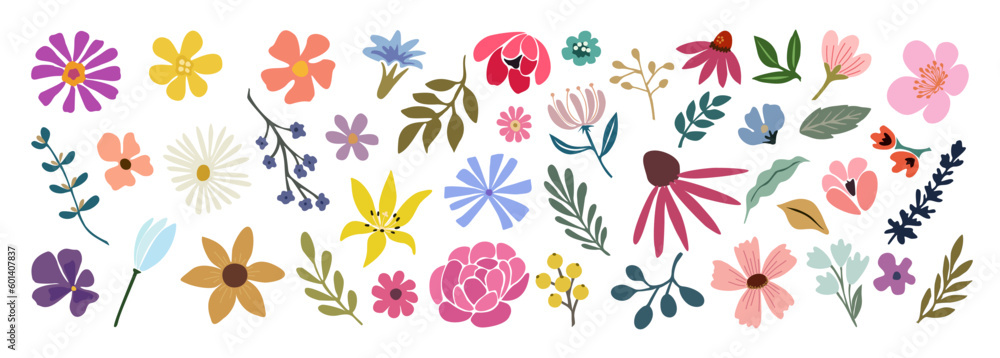 Set of hand drawn floral design elements, abstract shapes. Wild and garden flowers, leaves. Contemporary modern vector botanical art illustrations in trendy colors isolated on transparent background. - obrazy, fototapety, plakaty 