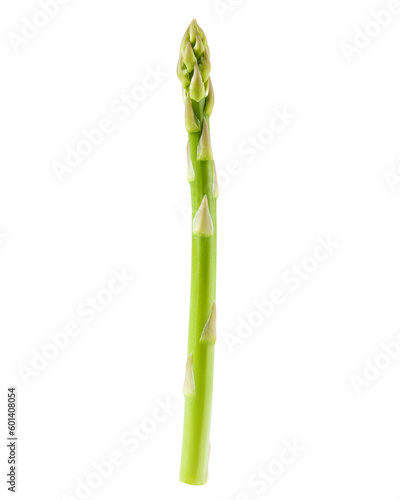 Fototapeta Naklejka Na Ścianę i Meble -  asparagus isolated on white background, full depth of field