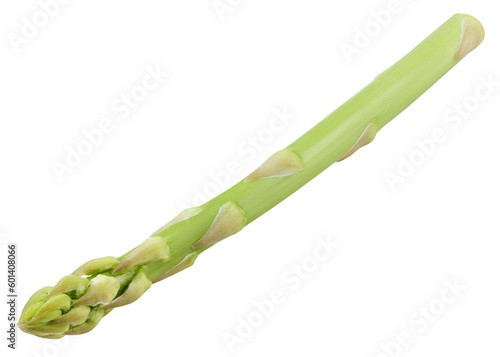 asparagus isolated on white background, full depth of field