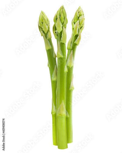 Fototapeta Naklejka Na Ścianę i Meble -  asparagus isolated on white background, full depth of field