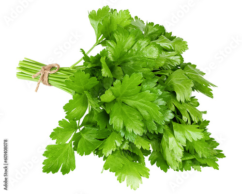 Photography Parsley isolated on white background, full depth of field