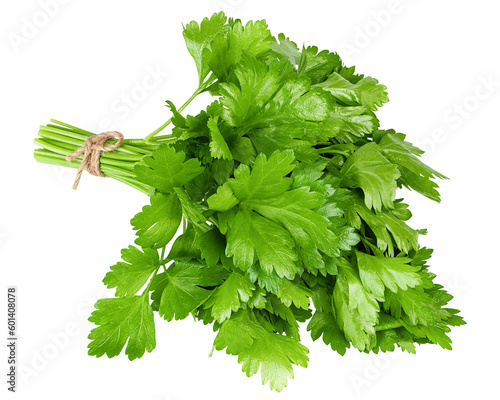 Parsley isolated on white background, full depth of field photo