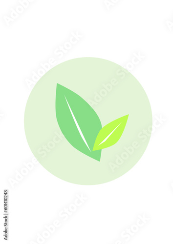 green herbal icon illustration 