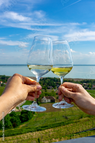 romantic celebratory toast with wine glasses in a Vineyard wine garden at Lake Balaton in Baracsony Hungray with beautiful view