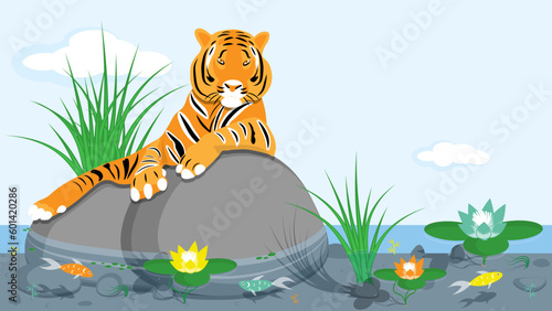 The tiger lies on a large stone and basks in the sun in the middle of a pond with colorful fish.