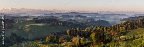 Good morning Emmental