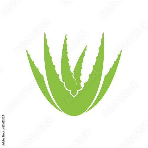 Aloe Vera logo icon design symbol beauty