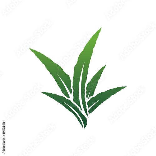 Aloe Vera logo icon design symbol beauty
