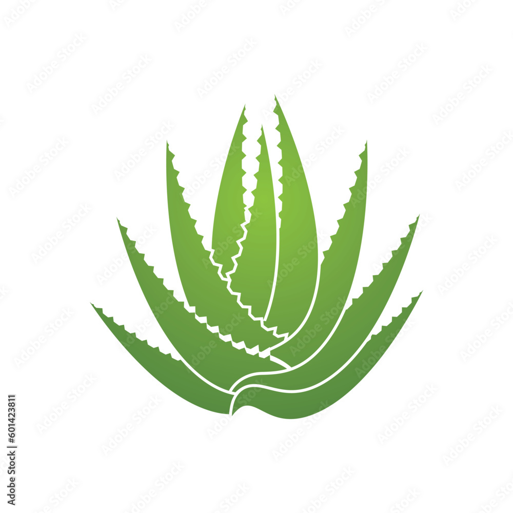 Aloe Vera logo icon design symbol beauty Aloe Vera logo icon design symbol beauty