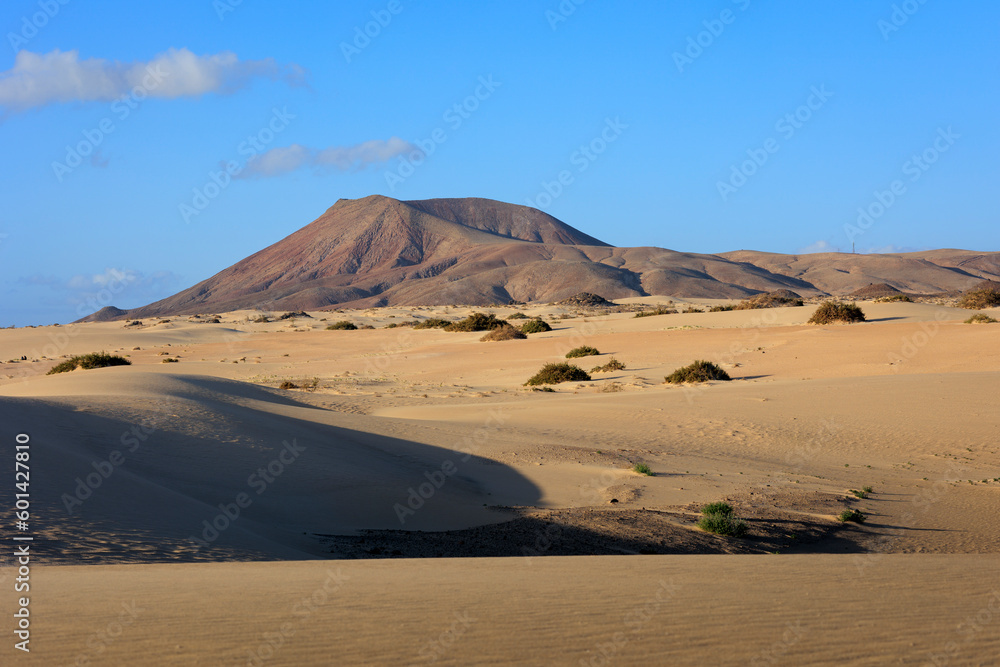 The sand dunes of Parque Natural de Corralejo Corralejo Fuerteventura Canary Islands Spain